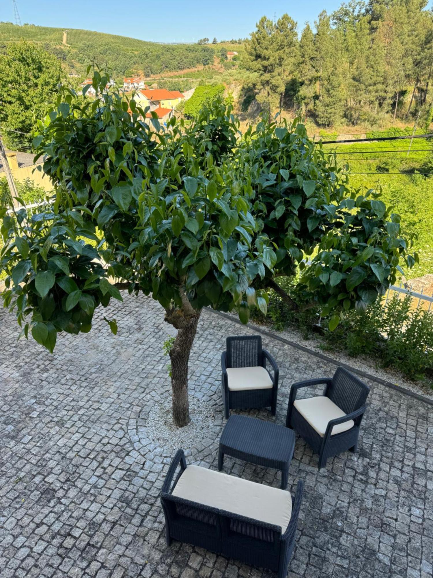 Stone House Villa Salzedas Екстериор снимка